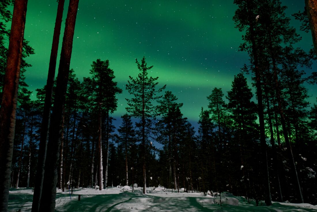 Aurora boreala Laponia